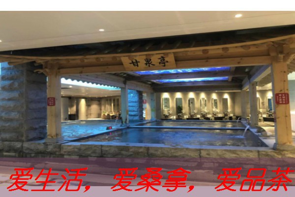 南宁莲spa荟馆，享受舒适与宁静的完美结合